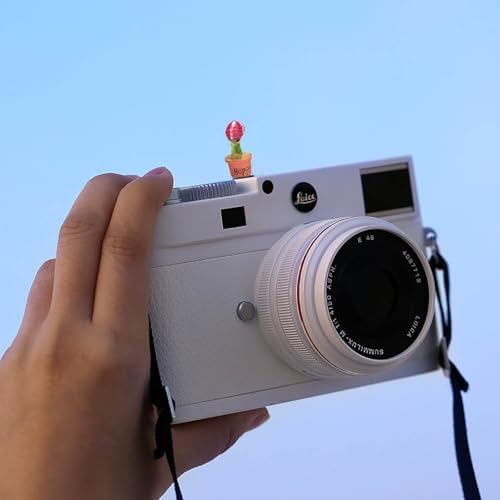 Camera Hot Shoe Cover, Cartoon Hot Shoe Cap, Hot Shoe Protector Compatible with Sony Fujifilm Fuji Canon Nikon Pentax Leical Panasonic (2pcs Happy Baby) - Image 5