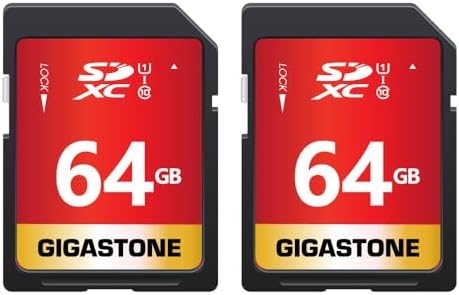 GIGASTONE 64GB SD Card 2-Pack UHS-I U1 Class 10 SDXC Memory Card High Speed, Speed Up to 100MB/s, Full HD Video Olympus Digital Camera with 2 mini Cases by Gigastone