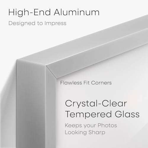Homeforia 4x9 Silver Business License Frame, High-End Metal, Glass - Image 2