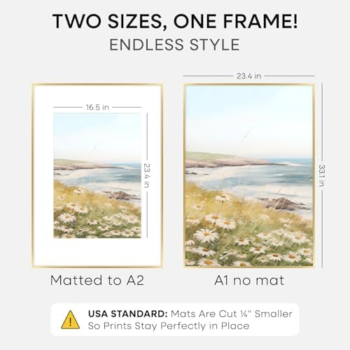 Homeforia A1 Gold Poster Frame, High-End Metal, A2 Mat, Glass - Image 2