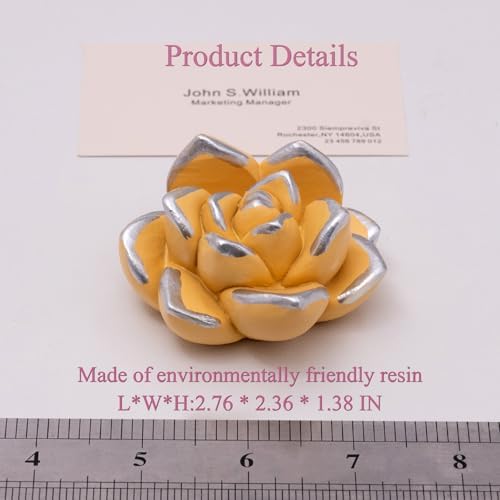 Succulent Business Card Holders Display Stand Desk Organizer - Image 3