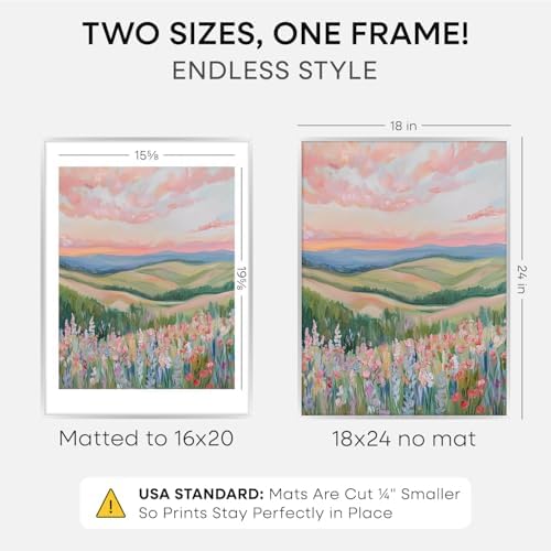 Homeforia 18x24 Silver Poster Frame, High-End Metal, 16x20 Mat, Glass - Image 2