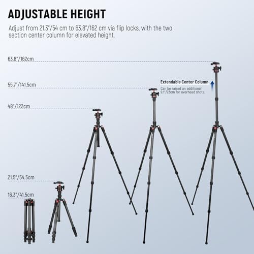 NEEWER Basics Carbon Fiber Travel Tripod, 64" Compact Lightweight Portable Camera Video Stand, Arca Type Ball Head & Cell Phone Holder Compatible with iPhone Video Recording, Max Load 13.2 lbs, TP17 - Image 3