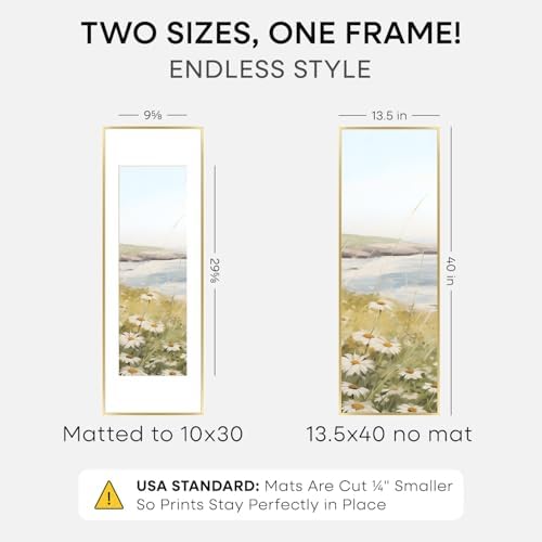 Homeforia 13.5x40 Gold Picture Frame, High-End Metal, 10x30 Mat, Glass - Image 2