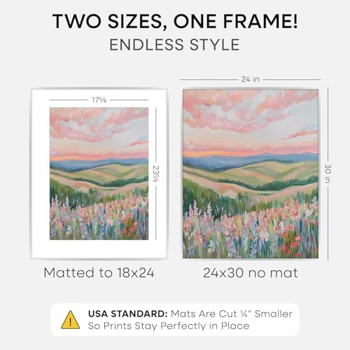 Homeforia 24x30 Silver Picture Frame, High-End Metal, 18x24 Mat, Glass - Image 2