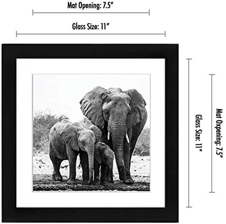Americanflat 11x11 Picture Frame with Shatter-Resistant Glass - Use as 8x8 Frame with Mat or Display 11x11 Photo Without Mat - Signature Collection - Square Frames for Wall Display - Black - Image 2