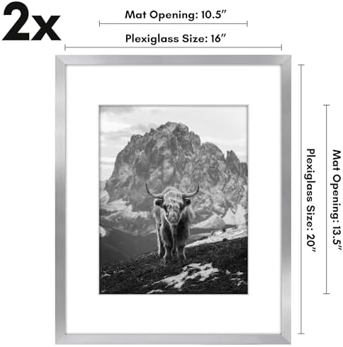 Americanflat 16x20 Poster Frame 2-Pack - Matted to 11x14 - Silver - Image 2