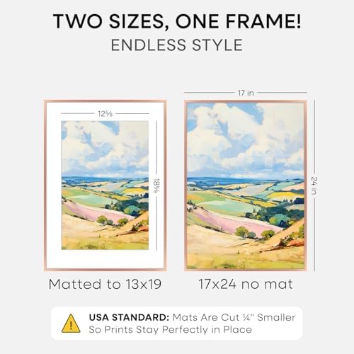 Homeforia 17x24 Rose Picture Frame, High-End Metal, 13x19 Mat, Glass - Image 2