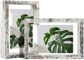 Egofine Distressed White 4x6 Floating Frames Set of 2, Double Plexiglass Picture Frame, Made of Solid Wood Display Any Size Photo up to 4x6, Wall Mount or Tabletop Standing by Egofine