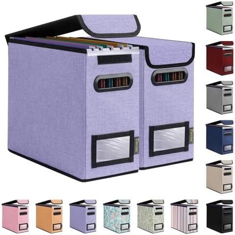 BALEINE File Organizer Box with Lid, Collapsible Hanging File Storage Box by BALEINE
