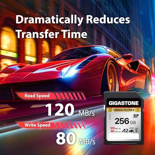 【5-Years Data Recovery】 GIGASTONE 256GB SD Card 4K Camera Pro MAX, UHS-I A2 4K SDXC Memory Card High Speed 4K UHD Video Speed up to 170MB/s Compatible with Kodak Digital Camera with 1 Mini case - Image 3