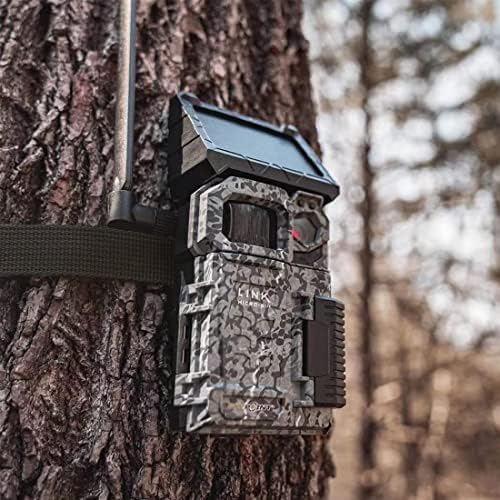 Trail Camera Straps 8 Packs, Game Cam Mounting Straps w/Durable Alloy Buckle, 6 ft. Long Nylon Utility Strap for Hanging Deer Camera, 25mm Width (Brown) - Image 6