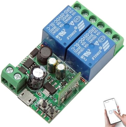 DieseRC 2 Channels WiFi Smart Switch, DC 5V 12V 24V 36V Passive Output Relay Module Ewelink APP WiFi Control Compatible with Alexa/Google Home, Inching/Self-Locking Switch by DieseRC