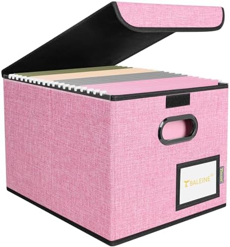 BALEINE File Organizer Box with Lid, Collapsible Hanging File Storage Box by BALEINE