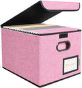 BALEINE File Organizer Box with Lid, Collapsible Hanging File Storage Box by BALEINE