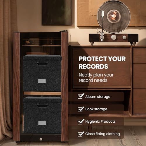 Vinyl Record Storage Box Set of 2 - Album Storage Holds 100+ Single Records - Image 6