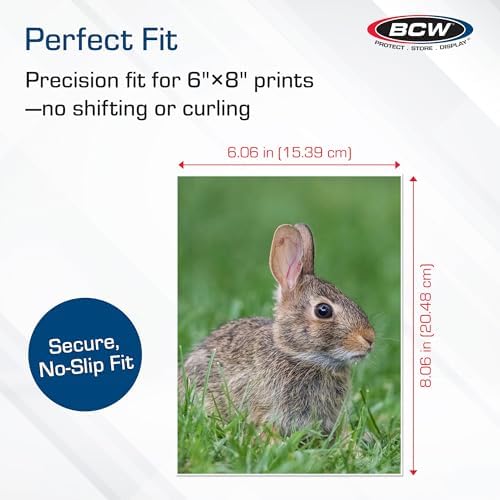 BCW 6x8 Photo Sleeves - 100 Pack | Archival Photo Sleeves for Art, Postcards & Photos | Acid-Free, No PVC | Archival Quality for Storage & Display - Image 3