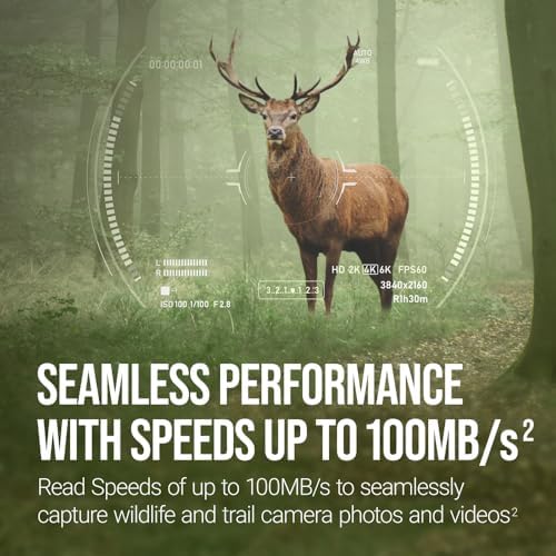 PNY 32GB Elite U1 V10 A1 microSDHC Trail Camera Flash Memory Card 3-Pack - Image 6