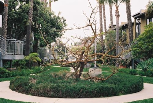 FUJIFILM 400 Color Negative Film | 3-Pack, 35mm, 36 Exposures - Image 5