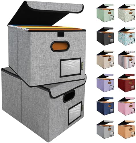 BALEINE File Organizer Box with Lid, Collapsible Hanging File Storage Box by BALEINE