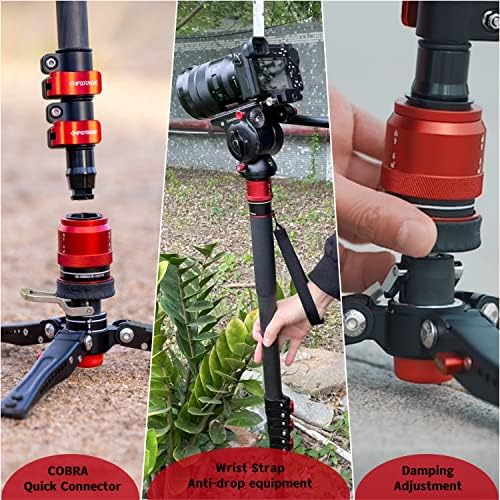 IFOOTAGE Cobra 3 Monopod with Fluid Head,Professional Portable Travel Monopod Set,71" Carbon Fiber Monopod for Cameras with Video Head, Compatible with Sony Canon Nikon Camera,C180F-P&Komodo K5S - Image 2