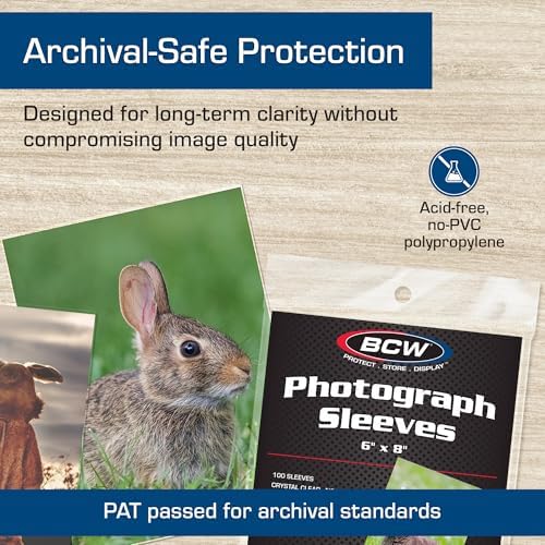 BCW 6x8 Photo Sleeves - 100 Pack | Archival Photo Sleeves for Art, Postcards & Photos | Acid-Free, No PVC | Archival Quality for Storage & Display - Image 5