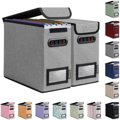 BALEINE File Organizer Box with Lid, Collapsible Hanging File Storage Box by BALEINE
