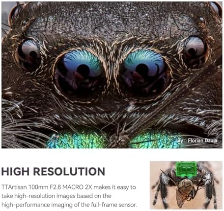 TTArtisan 100mm F2.8 Macro 2X Manual Focus Lens Full Frame Camera Lens for Sony E-Mount Cameras A7 A7II A7III A7IV A7R A7RII A7RIII A7RIV A7RV A7S A7SII A7SIII A7C A7II A7CR A1 A9 A9I A9III ZV-E1 - Image 4
