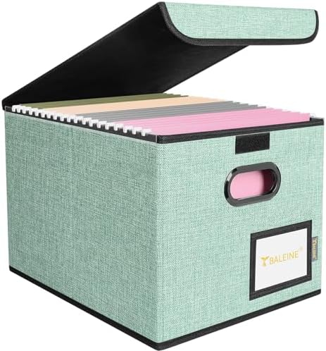 BALEINE File Organizer Box with Lid, Collapsible Hanging File Storage Box by BALEINE