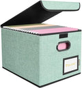 BALEINE File Organizer Box with Lid, Collapsible Hanging File Storage Box by BALEINE