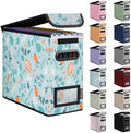 BALEINE File Organizer Box with Lid, Collapsible Hanging File Storage Box by BALEINE