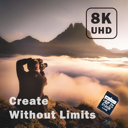 LinkMore XV29 512GB Full-Size SDXC Card, UHS-II U3 V90, R250/W220MB/s - Image 4