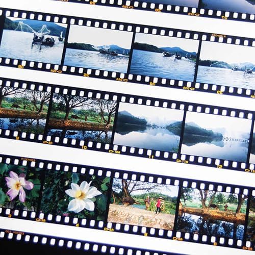 MUQING 100 Sheets 35mm Film Negative Page Preservers - Image 2