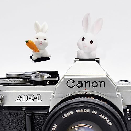 ZOSTLAND Lovely SLR Camera Hot Shoe Boot Cover Cap,White Shoe Protector,Compatible with Sony Fuji Canon Nikon Pentax Leical (2pcs Rabbit) by ZOSTLAND