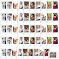 50 Pack 2.36x3.54 Acrylic Magnetic Picture Frames for Refrigerator by ALFFUN