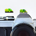 Camera Hot Shoe Cover, Cute Hot Shoe Cap, Hot Shoe Protector Compatible with Sony Fujifilm Fuji Canon Nikon Pentax Leical Panasonic (2pcs Tortoise) by MENGSOOD