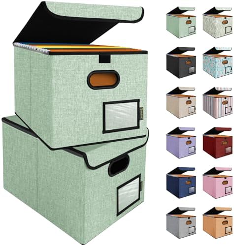 BALEINE File Organizer Box with Lid, Collapsible Hanging File Storage Box by BALEINE