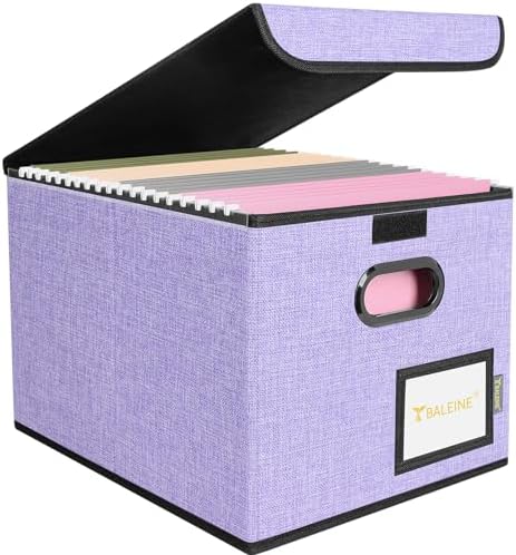 BALEINE File Organizer Box with Lid, Collapsible Hanging File Storage Box by BALEINE