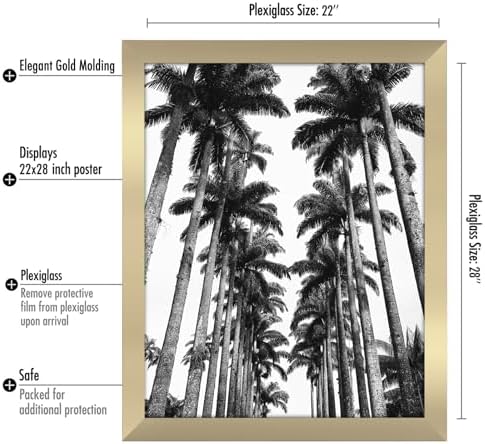 Americanflat 22x28 Poster Frame - Gold Engineered Wood with Polished Plexiglass - Wide Picture Frame for Vertical or Horizontal Wall Display - Epic Collection - Gold - Image 2
