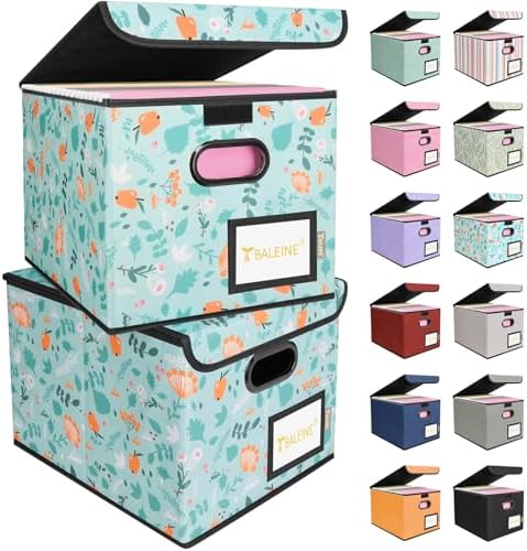 BALEINE File Organizer Box with Lid, Collapsible Hanging File Storage Box by BALEINE