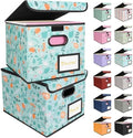 BALEINE File Organizer Box with Lid, Collapsible Hanging File Storage Box by BALEINE