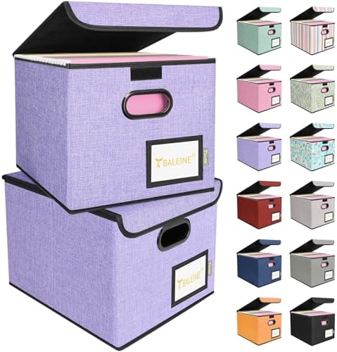 BALEINE File Organizer Box with Lid, Collapsible Hanging File Storage Box by BALEINE