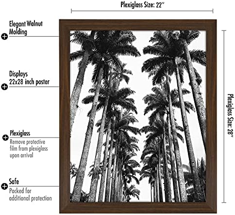 Americanflat 22x28 Poster Frame - Walnut Engineered Wood with Polished Plexiglass - Wide Picture Frame for Vertical or Horizontal Wall Display - Epic Collection - Walnut - Image 2