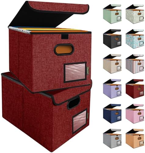 BALEINE File Organizer Box with Lid, Collapsible Hanging File Storage Box by BALEINE