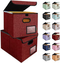BALEINE File Organizer Box with Lid, Collapsible Hanging File Storage Box by BALEINE