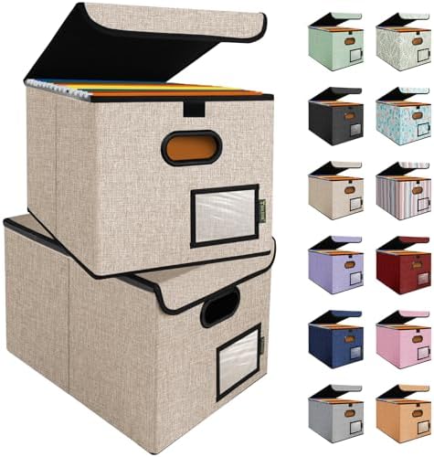 BALEINE File Organizer Box with Lid, Collapsible Hanging File Storage Box by BALEINE