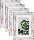 Egofine 4x6 Picture Frames Set of 4, Made of Solid Wood Covered by Plexiglass 3x4.5 and 3.5x5 with Mat or 4x6 without Mat, for Table Top Display and Wall Mounting Photo Frame Rustic White by Egofine