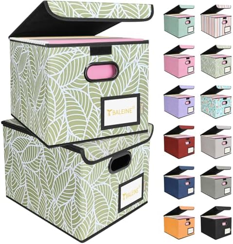 BALEINE File Organizer Box with Lid, Collapsible Hanging File Storage Box by BALEINE