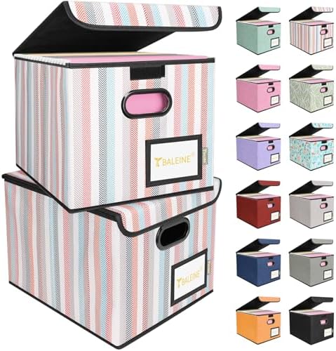BALEINE File Organizer Box with Lid, Collapsible Hanging File Storage Box by BALEINE