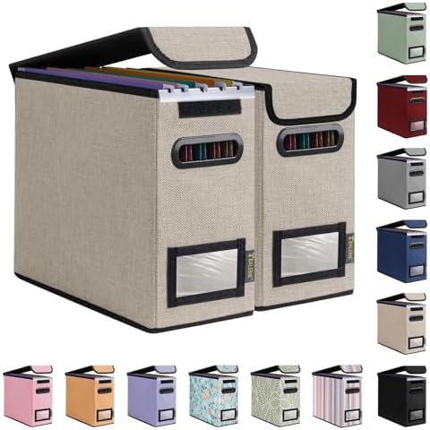BALEINE File Organizer Box with Lid, Collapsible Hanging File Storage Box by BALEINE